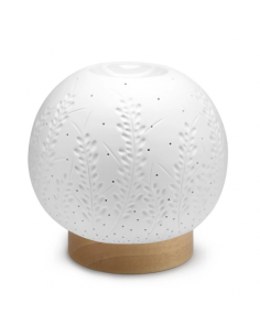 NASOTERAPIA DIFFUSORE ELETTRICO AURIS