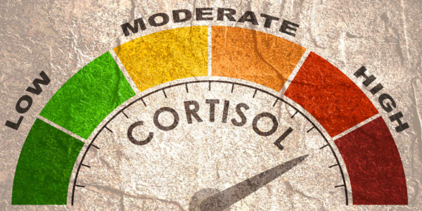 Cortisolo alto: cosa fare per abbassarlo in modo naturale